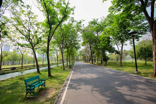 Mooie Wandelpaden Omgeven Door Bomen Zorgen Voor Schaduw Het Park — Stockfoto