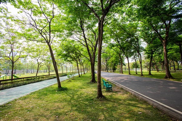 Ağaçlarla Çevrili Güzel Yürüyüş Yolları Parkta Gölge Sağlar — Stok fotoğraf