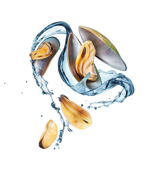Fresh Mussels Splashes Water Air Isolated White Background — Stock Photo, Image