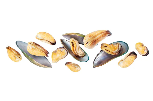Fresh Mussels Shells Air Close White Background — Stock Photo, Image