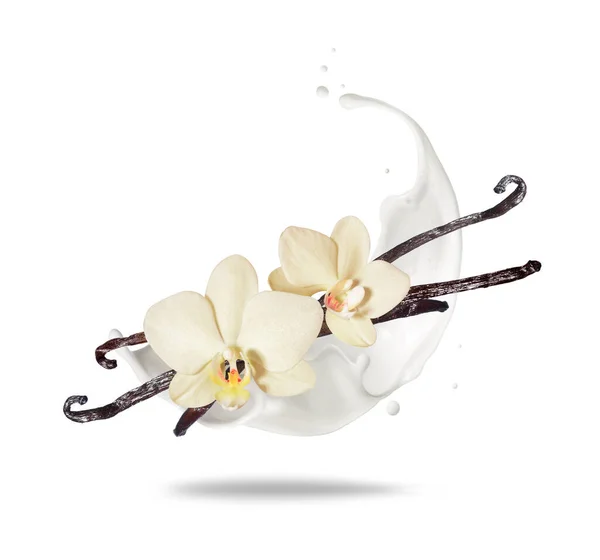 Ξηρά Βανίλια Κολλάει Λουλούδια Βουτιές Γάλακτος Κοντά Λευκό Φόντο — Φωτογραφία Αρχείου