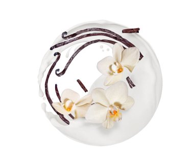 Kurutulmuş vanilya çubukları ve beyaz arka planda izole edilmiş küresel bir şekilde süt sıçramaları.