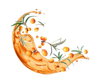 Olgun deniz dikenleri, beyaz arka planda izole edilmiş meyve suyu damlaları..