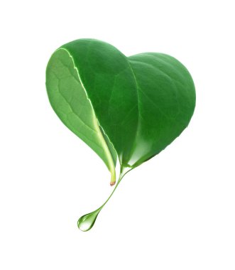 Kalp şeklinde bir yapraktan bir damla su damlıyor.