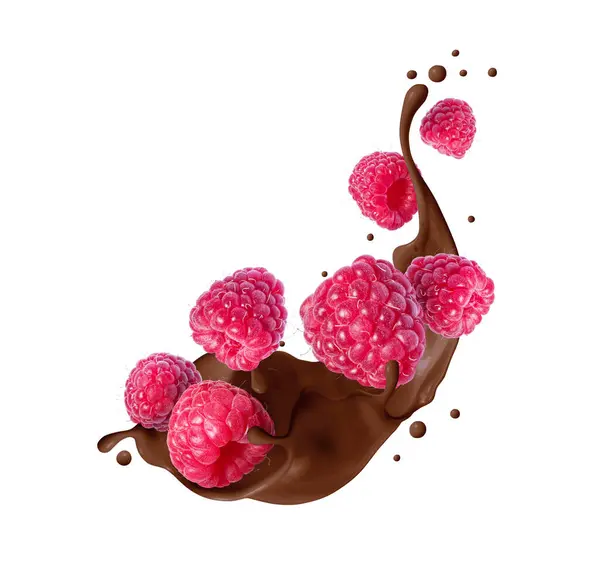 Raspberries in chocolate splashes isolated on a white background