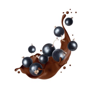 Çikolatadaki siyah üzümler beyaz arka planda izole edilmiş.