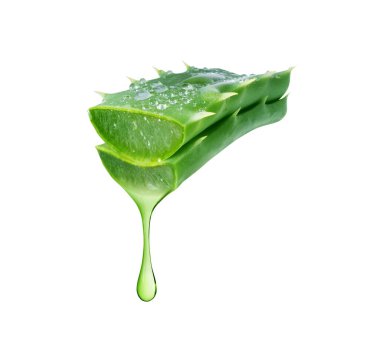 Kesik bir aloe vera sapından damlayan bir damla meyve suyu beyaz arkaplana yakın çekim yapar
