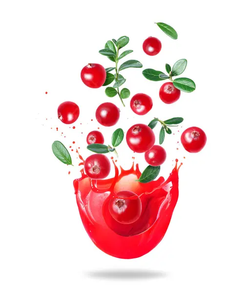 Cranberry Matang Dengan Daun Dalam Percikan Jus Pada Latar Belakang Stok Lukisan  