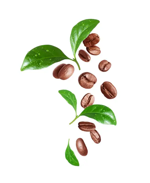 Geröstete Kaffeebohnen Mit Grünen Blättern Der Luft Isoliert Auf Weißem lizenzfreie Stockfotos