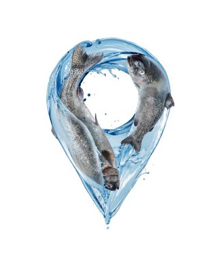 Beyaz arka planda alabalıkları olan sudan yapılmış konum sembolü. Su, balık konumu şeklinde su sıçratır.