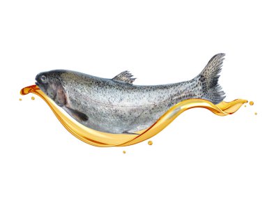 Beyaz arka planda izole edilmiş, yağ damlaları halinde alabalık.