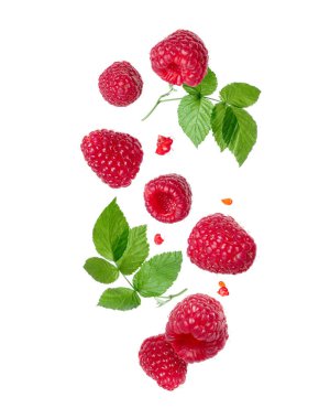 Beyaz arka planda havada süzülen yapraklı ahududu.