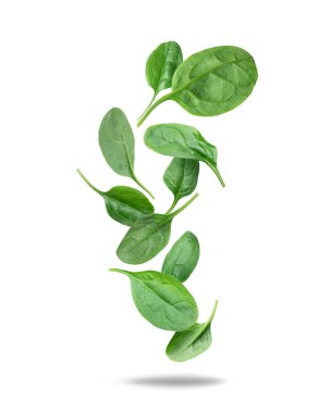 Beyaz arka planda taze ıspanak yaprakları havada uçuşuyor.