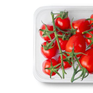 Plastik bir kaptaki sarmaşıkta taze domates manzarası.