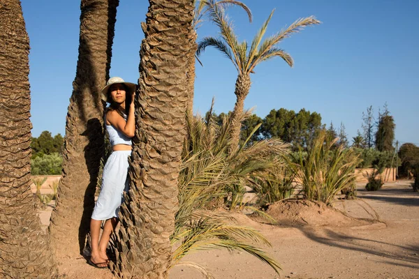 Sexy Turista Apoyada Una Gran Palmera Palmeral Marrakech Marruecos Mientras — Foto de Stock