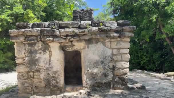 Ancient Architecture Pyramid House Mayan Ruins Tropical Jungle Xcaret Park — Stock Video