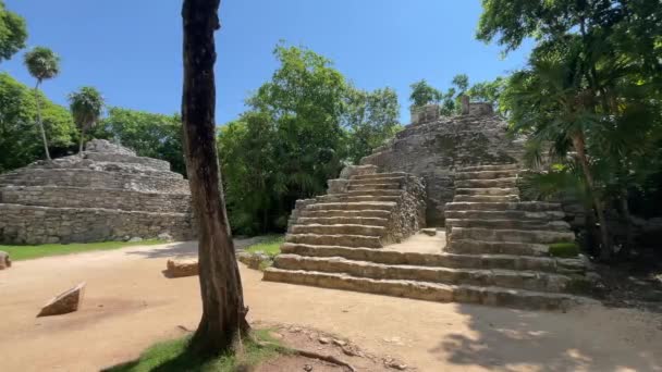 Pyramids Mayan Ruins Tropical Jungle Xcaret Park Mayan Riviera Mexico — Stock Video