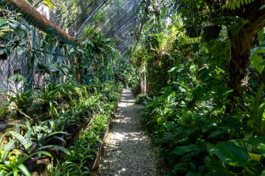 Xcaret Parkı 'nın serası Meksika' nın çeşitli renk ve kokularıyla çevrili. Burası Maya Riviera 'sında bir yer..
