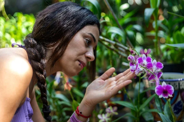Gyönyörű Néz Virágok Egy Bromeliad Orchidea Park Xcaret Mexikóban Egy — Stock Fotó