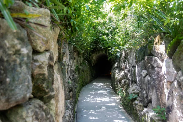 Trail and road through a tropical jungle with a stone wall that leads to a cave in the Xcaret park in the Mayan Riviera in Mexico, this is an ideal place to go on vacation.
