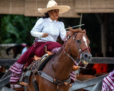 Xcaret, Meksika, 20 Aralık 2022 - Büyük soydan gelen muhteşem bir Aztek atı üzerine geleneksel sergisi olan Meksikalı Atlı, dörtnala gidip geliyor..