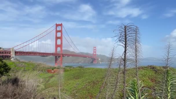 Golden Gate Seen Viewpoint Vegetation Overlooking Bay San Francisco Seen — Stock video