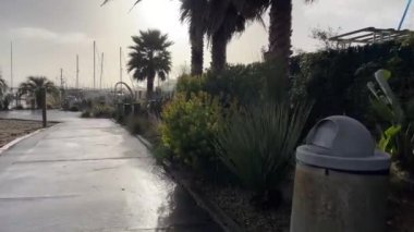 San Francisco körfezindeki Sausalito plajı ve rıhtımı Amerika Birleşik Devletleri 'nin Kaliforniya eyaletinde çok güzel ve hippi bir yerdir..