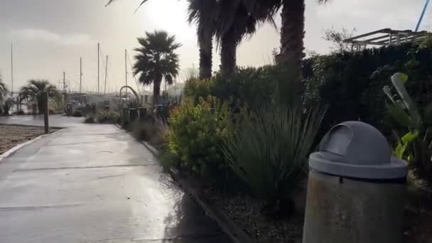 Stranden Molen Sausalito Bugten San Francisco Staten Californien Usa Meget – Stock-video