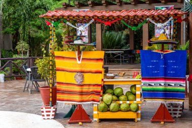 Playa del Carmen, Meksika; 4 Nisan 2023: Meksika 'da bir Meksika hindistan cevizi dükkanı, burası Amerika' nın popüler sokak yemekleri standlarından biri, şapkaları ve diğer çatal bıçaklarıyla Meksika 'yı sembolize ediyor..
