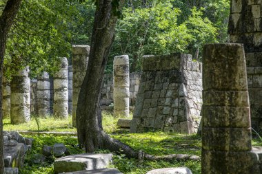 Chichen Itza arkeolojik alanının binlerce sütunu, modern dünyanın yedi harikasından biri olarak kabul edilen piramidin ve kalenin bulunduğu Maya uygarlığı hakkındadır..