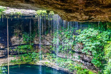 Metrodaki şelalelerden akan sular Chichen itza 'nın Saamal' ı Meksika 'daki Yucatan Yarımadası' nın Maya ormanlarında bulunur. Yaz tatilleri için ideal bir yerdir..
