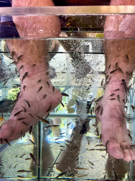 stock image Young man's feet immersed in a water tank where fish called 