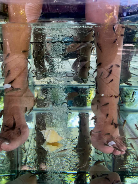 Jonge Vrouw Voeten Ondergedompeld Een Watertank Waar Vissen Genaamd Garra — Stockfoto