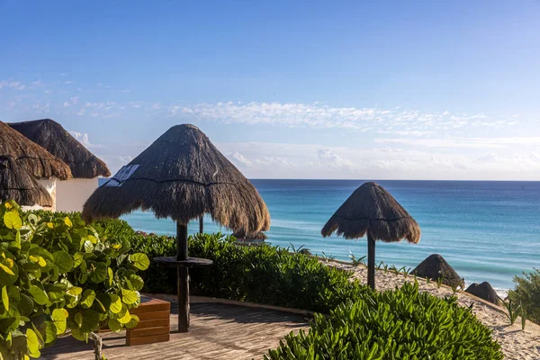 Cancun Mexico 'daki otel bölgesinde yunuslar. Turistler tarafından çok sevilen, beyaz ve altın Karayip kumlarından oluşan tropik bir paradisikal plajdır. Yaz tatilleri.