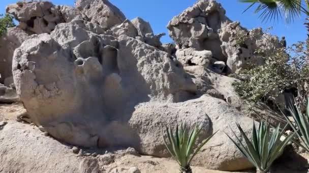 Пустынный Пейзаж Кабо Сан Лукас Штате Нижняя Калифорния Мексика Песчаный — стоковое видео