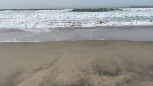 Vacker Strand Ensenada Med Hamnen Bakgrunden Och Människor Som Njuter — Stockvideo