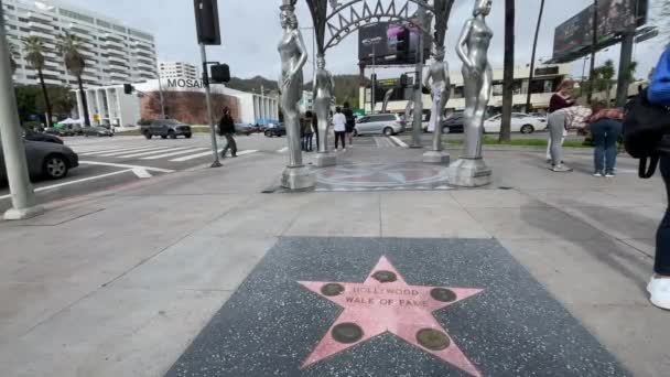 Los Angeles Califórnia Eua Outubro 2023 Início Caminhada Estrela Walk — Vídeo de Stock