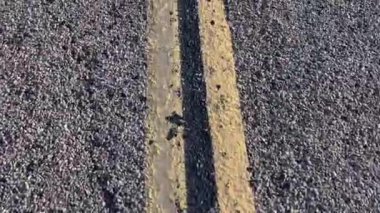 Sarı hat, ABD Otoyolu 66 'da sonsuz bir otoyolun kaldırımında devam ediyor. Bu yol Nevada' daki Mojave Çölü 'nden Kaliforniya' daki Los Angeles 'a kadar uzanıyor..