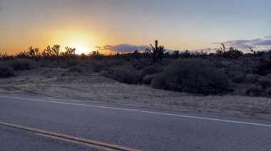 Mojave Çölü 'nün tipik bitki örtüsü arasında gün batımı, Amerika' nın en büyük ve en sıcak çölü, çoğunlukla Amerika 'da, efsanevi 66..