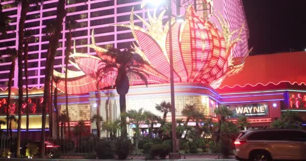 Las Vegas Usa November 2023 Das Wunderbare Und Fabelhafte Flamingo — Stockvideo