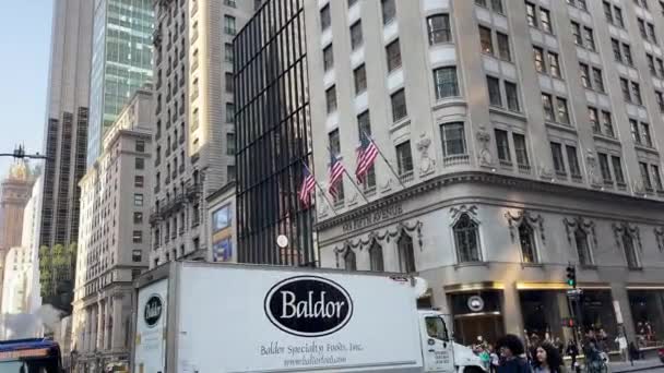 New York Verenigde Staten December 2023 Wandeling Langs Fifth Avenue — Stockvideo