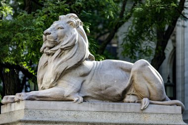 Sabır, beşinci caddedeki New York Halk Kütüphanesi 'nin ön kapısını koruyan pembe Tennessee mermerinden yapılmış iki aslandan biridir..