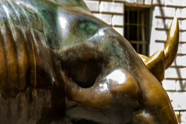 The side of the wonderful bull of the financial manhattan area in the Wall Street district is the icon of the place.
