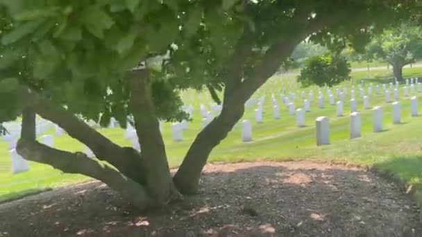 Slenteren Door Prachtige Beroemde Arlington National Military Cemetery Washington Hoofdstad — Stockvideo