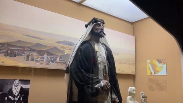 New York Abd Ocak 2024 Diorama Amerikan Doğa Tarihi Müzesi — Stok video