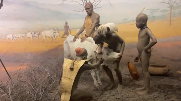 Nova Iorque Eua Janeiro 2024 Dioma Retratando Uma Tribo Africana — Vídeo de Stock