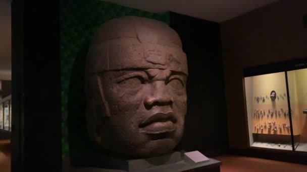 ニューヨークのアメリカ自然史博物館で展示されたコロンブス以前のアメリカ文化の石の彫刻 オブジェクト — ストック動画