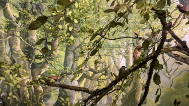 Ilıman ve Akdeniz ormanlarında yaşayan kuşların temsili, bu yerin ağaçlarıyla ve yapraklarıyla uyum içinde..
