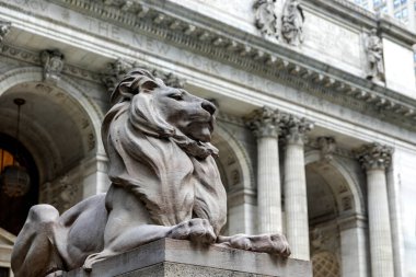 New York, ABD; 4 Haziran 2023: New York kütüphanesini koruyan mermer aslan çok sayıda kitap içerir ve sinema için ayarlama olmuştur.