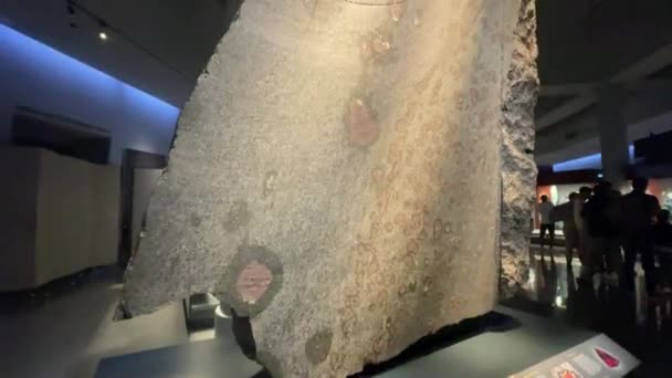 Mineraller Meteoritler Amerikan Doğal Tarih Müzesi New York City Abd — Stok video